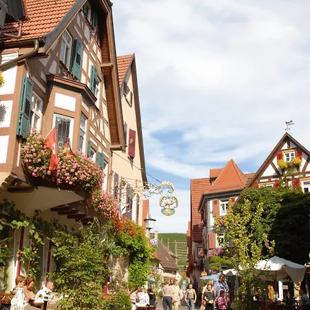 Berne'S Altstadthotel Hotel Besigheim