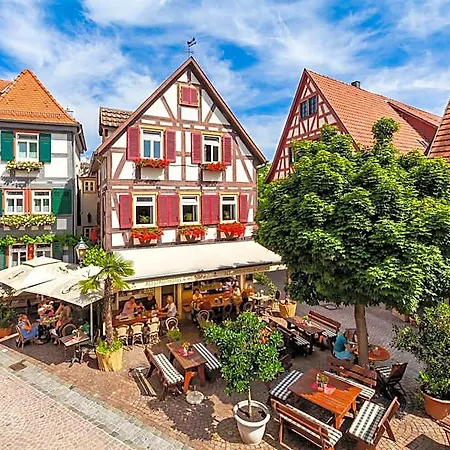 Отель Berne's Altstadthotel Безигхайм