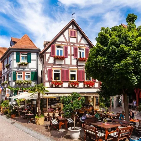 Berne's Altstadthotel Hotel 3*